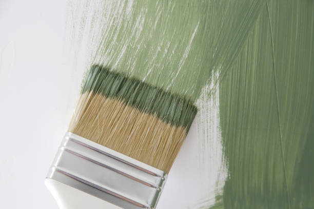 Marshallville, GA Mold Removal Company