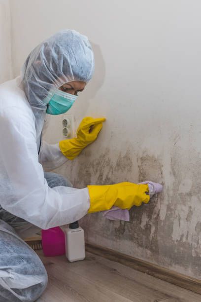 Best Emergency Mold Remediation  in Marshallville, GA