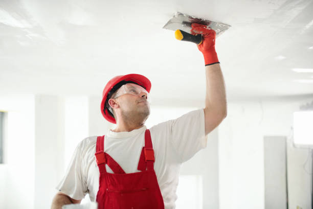 Best Mold Remediation for Healthcare Facilities  in Marshallville, GA