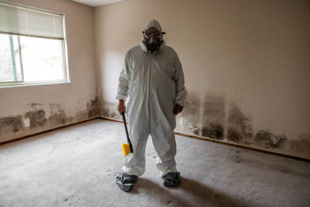 Best Airborne Mold Testing  in Marshallville, GA