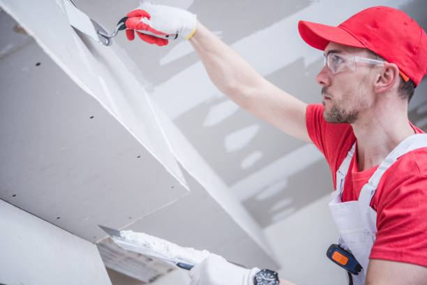 Best Basement Mold Removal  in Marshallville, GA